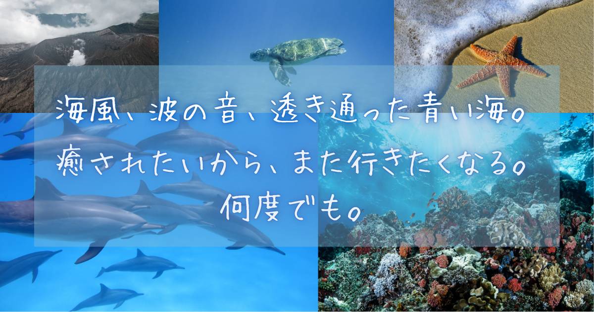2025しまぽ通貨販売 海のイメージ