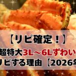 森源 超特大3L〜6Lずわい蟹5kgの記事用アイキャッチ画像