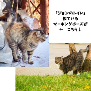 ジョン、トイレポーズ