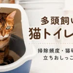 多頭飼いの猫トイレ事情