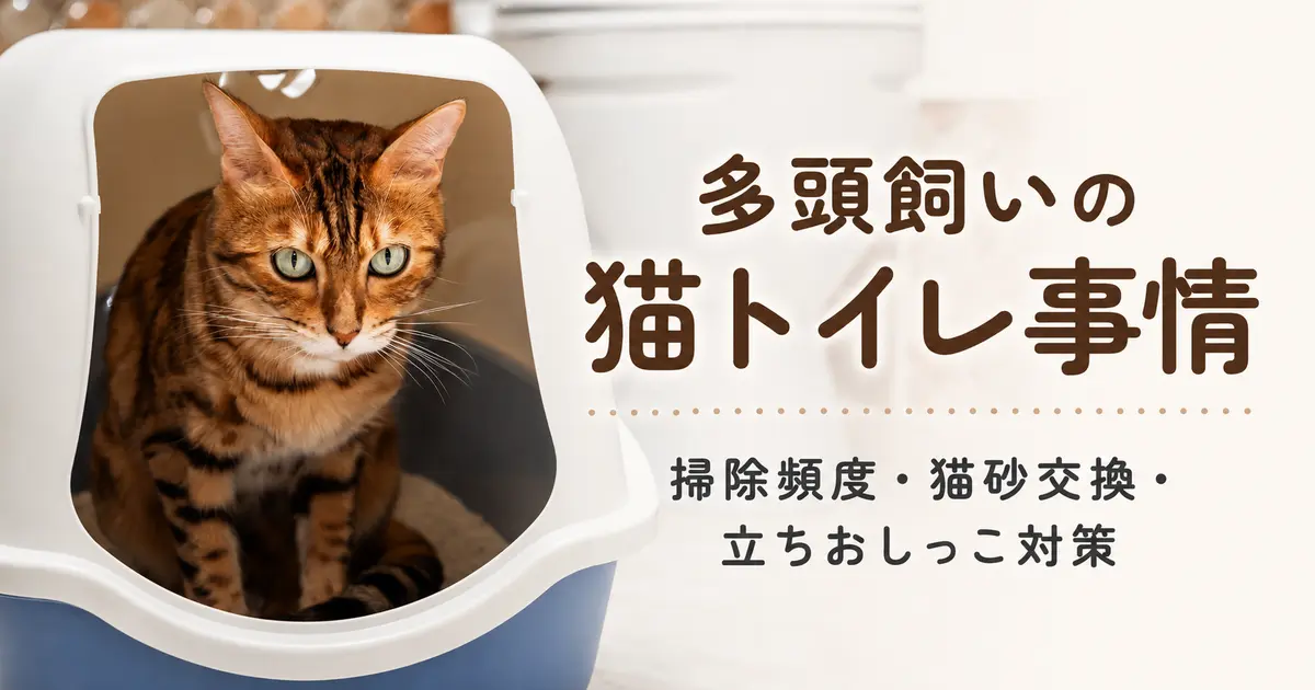 多頭飼いの猫トイレ事情